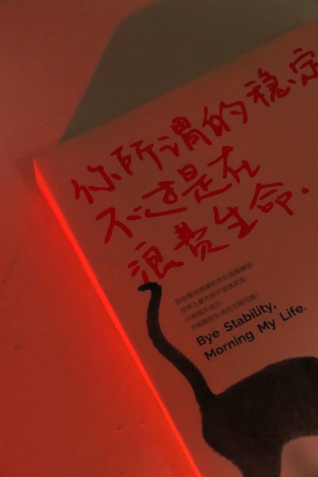 覆盖着我们曾经的认知